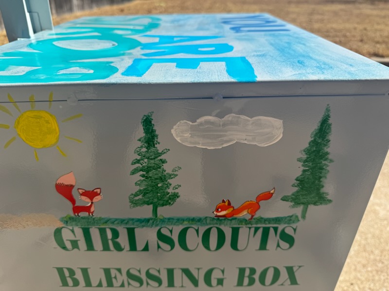 Ponca City Girl Scouts: Journey to the Medal
